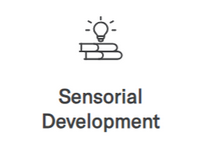 Sensorial Development